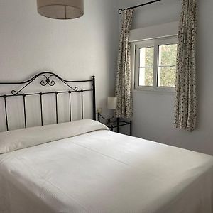 Classic One-Bedroom Apartment wih terrace